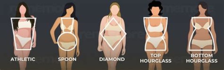 What is the most common body shape for models?