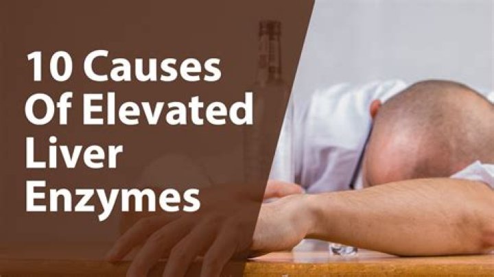 What is the most common reason for elevated liver enzymes?