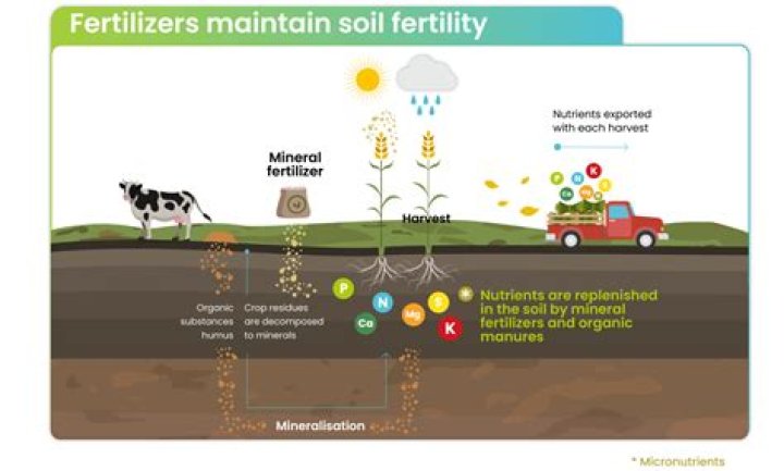 What is the most productive soil?