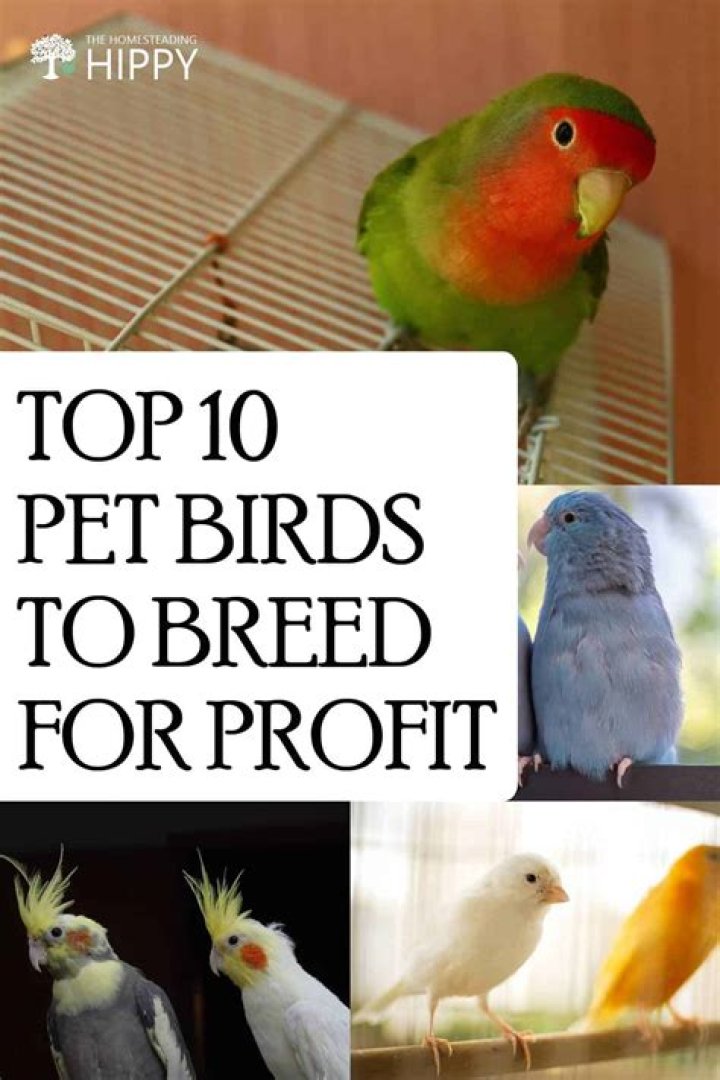 What is the most profitable pet to breed?