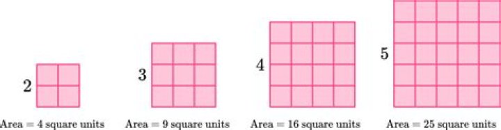 What is the number of square units of the interior of a region?