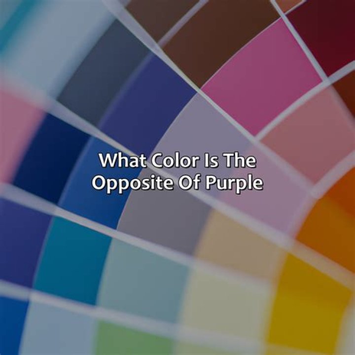 What is the opposite of Daisy?