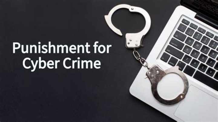 What is the punishment for cybercrime?