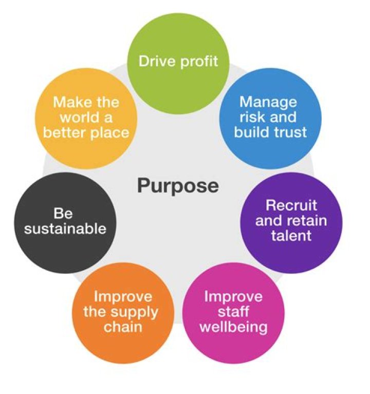 What is the purpose of business credit?