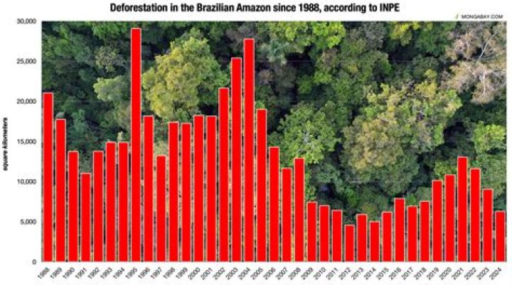 What is the rate of deforestation in USA?