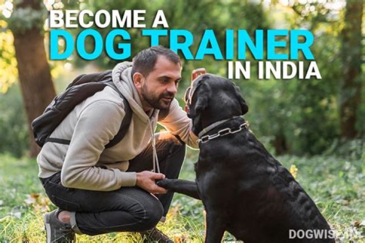 What is the salary of dog trainer in India?