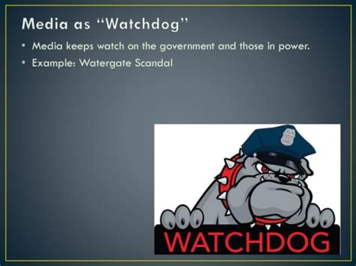 What is the watchdog function of the media in US government?