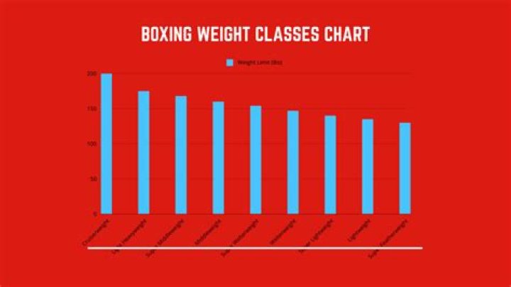 What is the weight limit to fly?