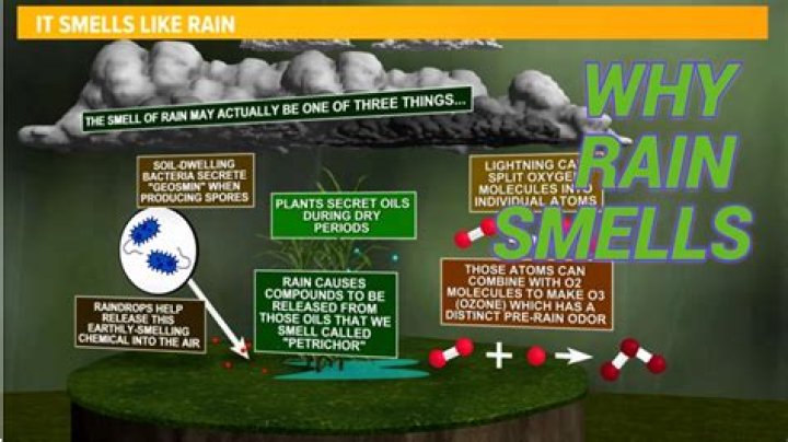 What is this weird smell in my house?