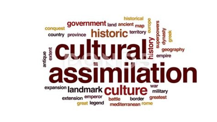 What is to absorb a group into the culture of another population?