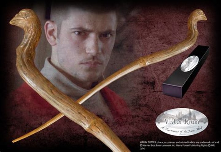 What is Viktor Krum's wand?