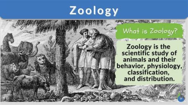 What is zoology the study?