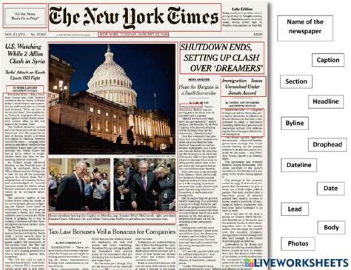 What kind of ink does newspaper use?