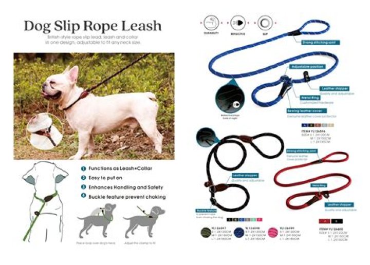 What kind of leash do vets use?
