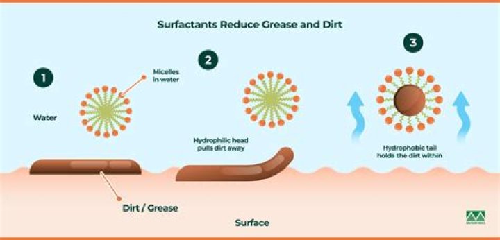 What makes a good surfactant?