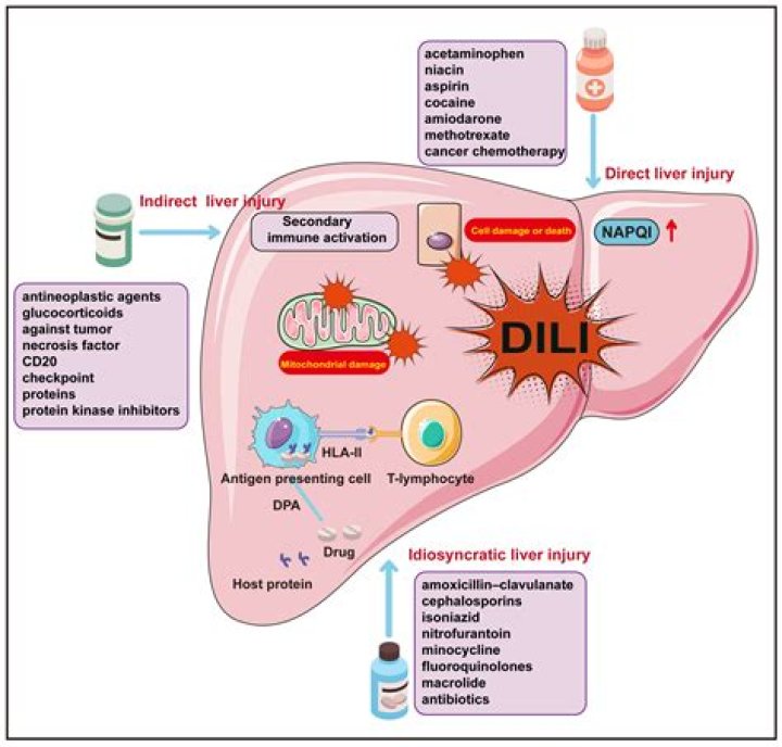 What medications are hard on the liver?