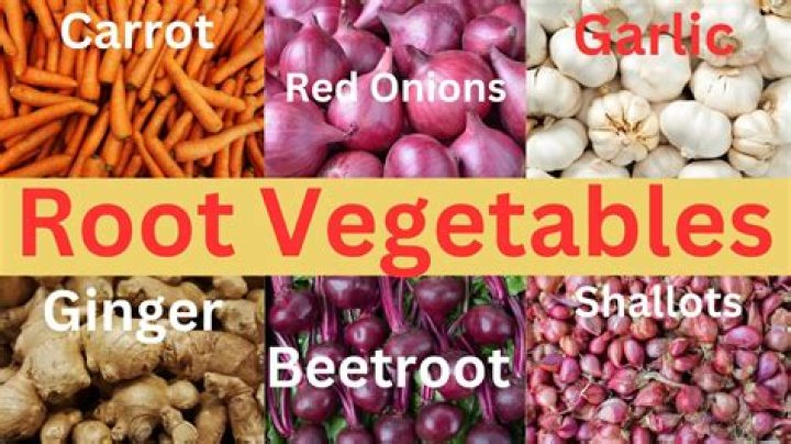 What Root vegetables are paleo?