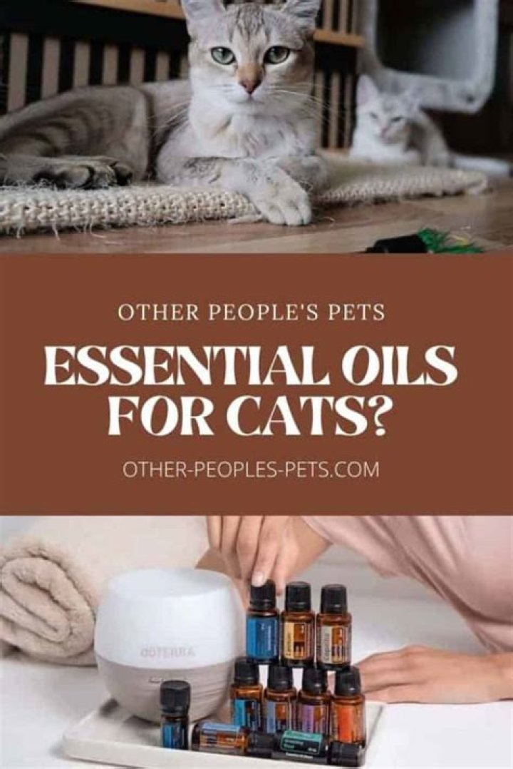 What scent relaxes cats?