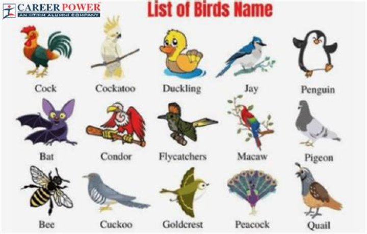 What should I name my consulting company?