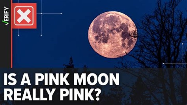 What time can I see the pink moon tonight?