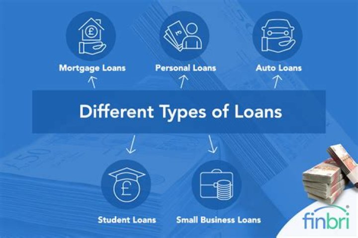 What type of loans are predatory?