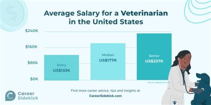 What type of veterinarian makes the most money?