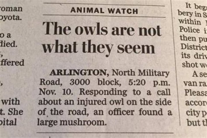 What was it called when newspapers exaggerated stories to sell more papers?