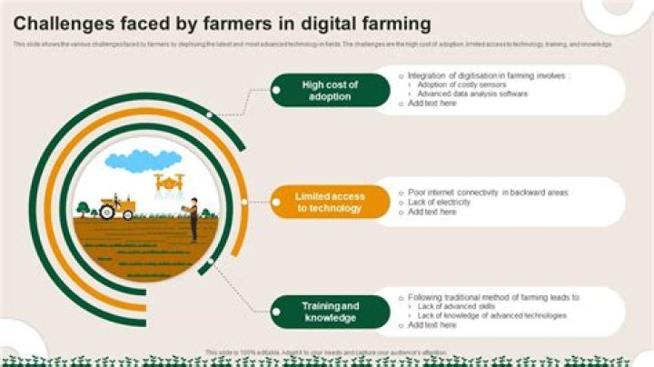 What were the main problems facing farmers?