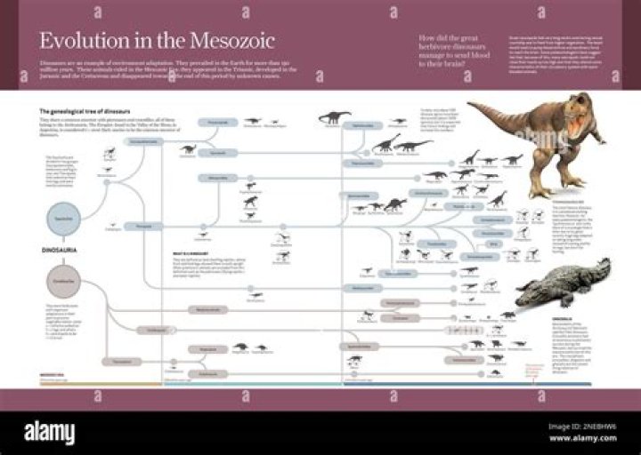 What were the significant events in Mesozoic Era?