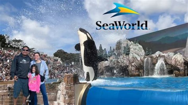 What year did SeaWorld San Antonio Open?