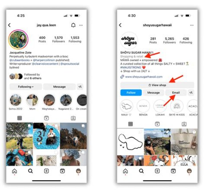 What's more popular Instagram or Twitter?