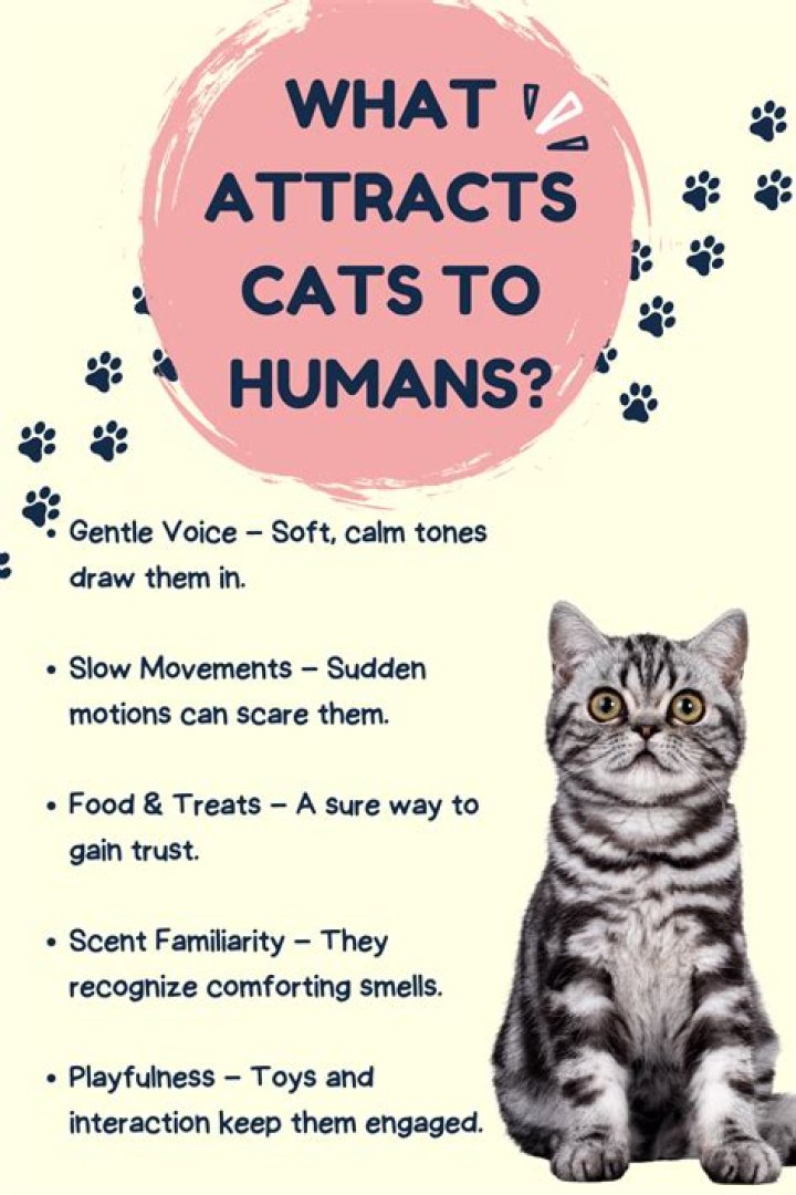When can humans touch kittens?