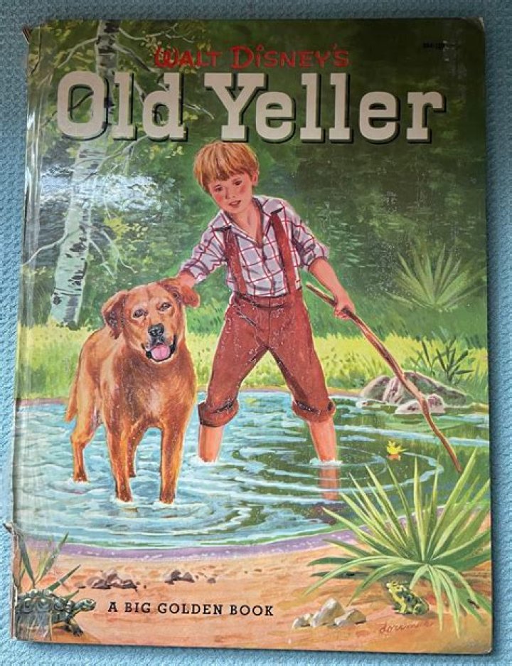 When was the book Old Yeller published?