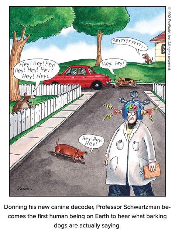 Where Can comics be found?