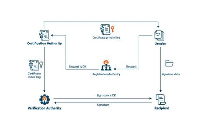 Where can I find my public key certificate?
