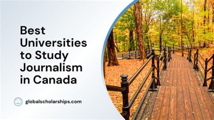 Where can I study journalism in NZ?