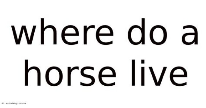 Where do a horse live?