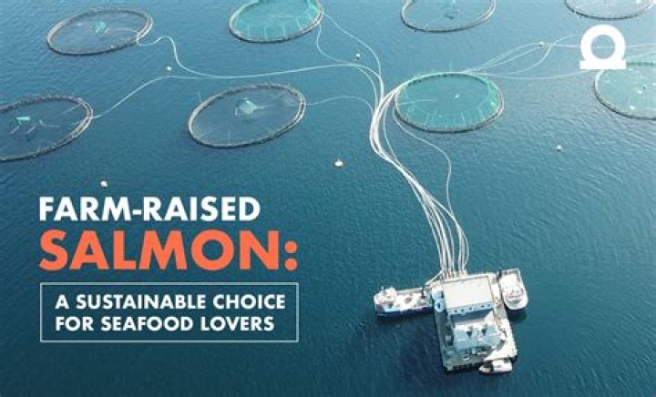 Where does Publix farmed salmon come from?