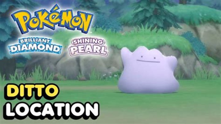 Where is ditto in shining diamond?