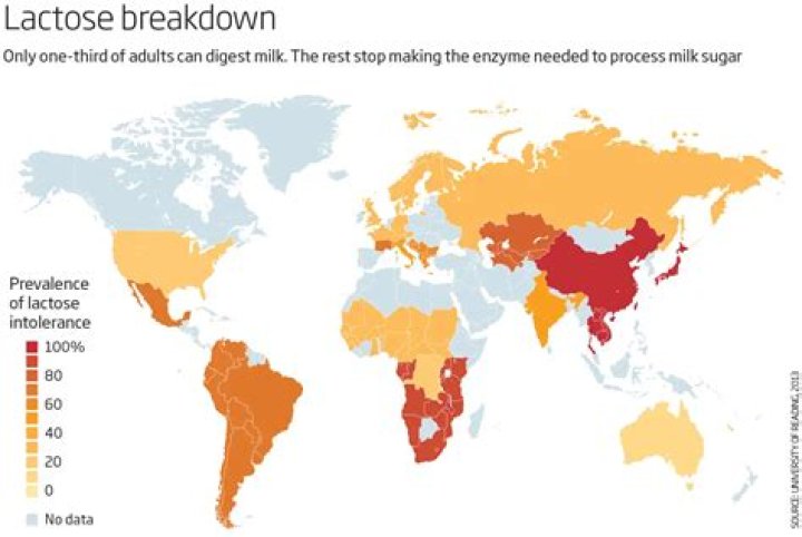 Which country is most lactose intolerant?
