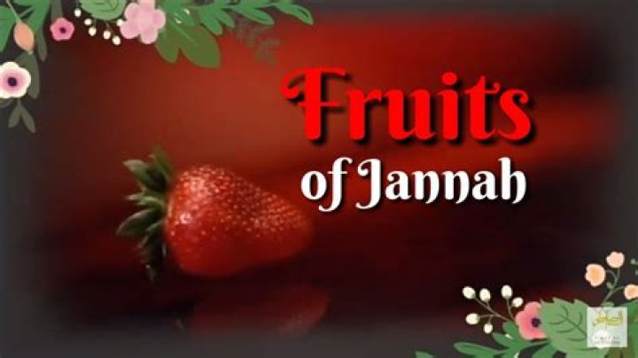Which fruit is from Jannah?