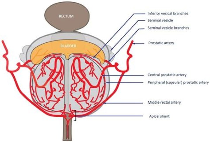 Which is a branch of medicine that deals with the treatment of eye problems?