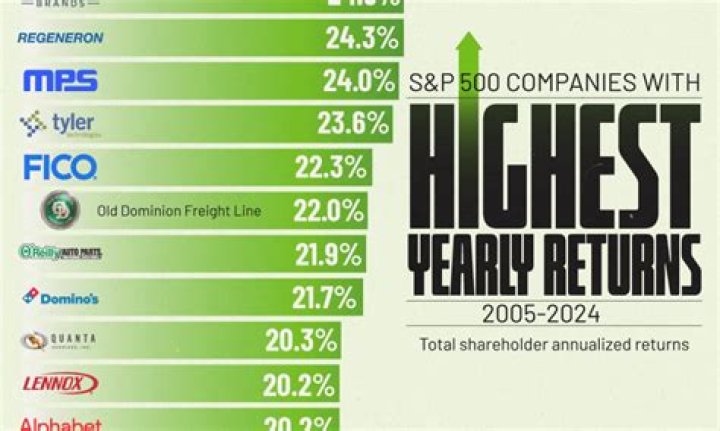 Which stock gives highest return in 2021?