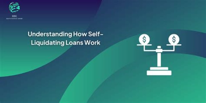 Which type of loans are self liquidating?