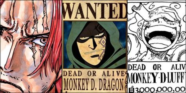 Who has the highest bounty in One Piece?