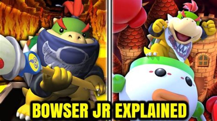 Who is Bowser's lover?