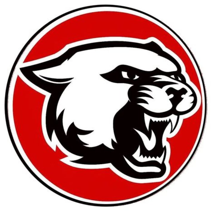 Who is the best hero in Mahabharata?