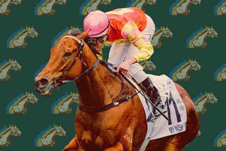 Who is the most successful horse trainer?