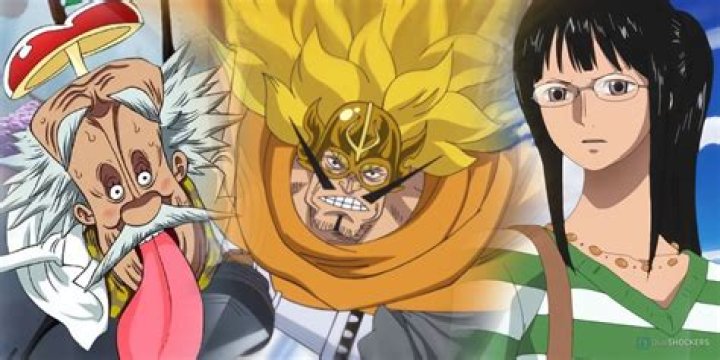 Who is the smartest pirate?