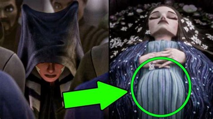 Who knew Padme pregnant?